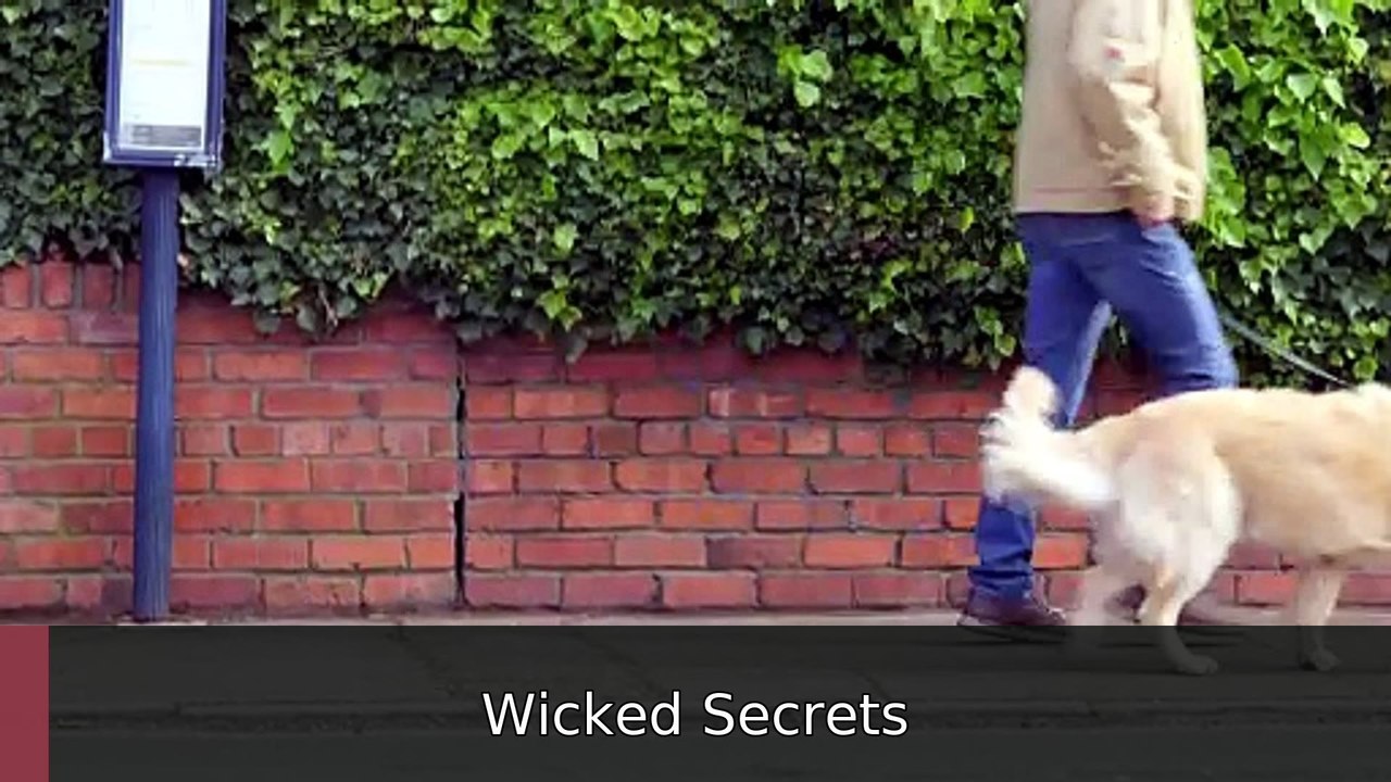 Fern Britton Inside the Vets Season 2 Episode 2 | Wicked Secrets
