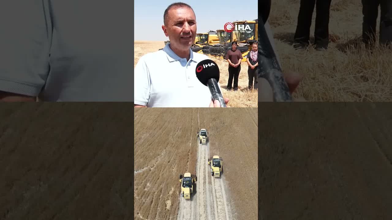 211 Bin Dekarlık Dev Arazide Hasat Başladı! Hedef 25 Bin Ton  iha