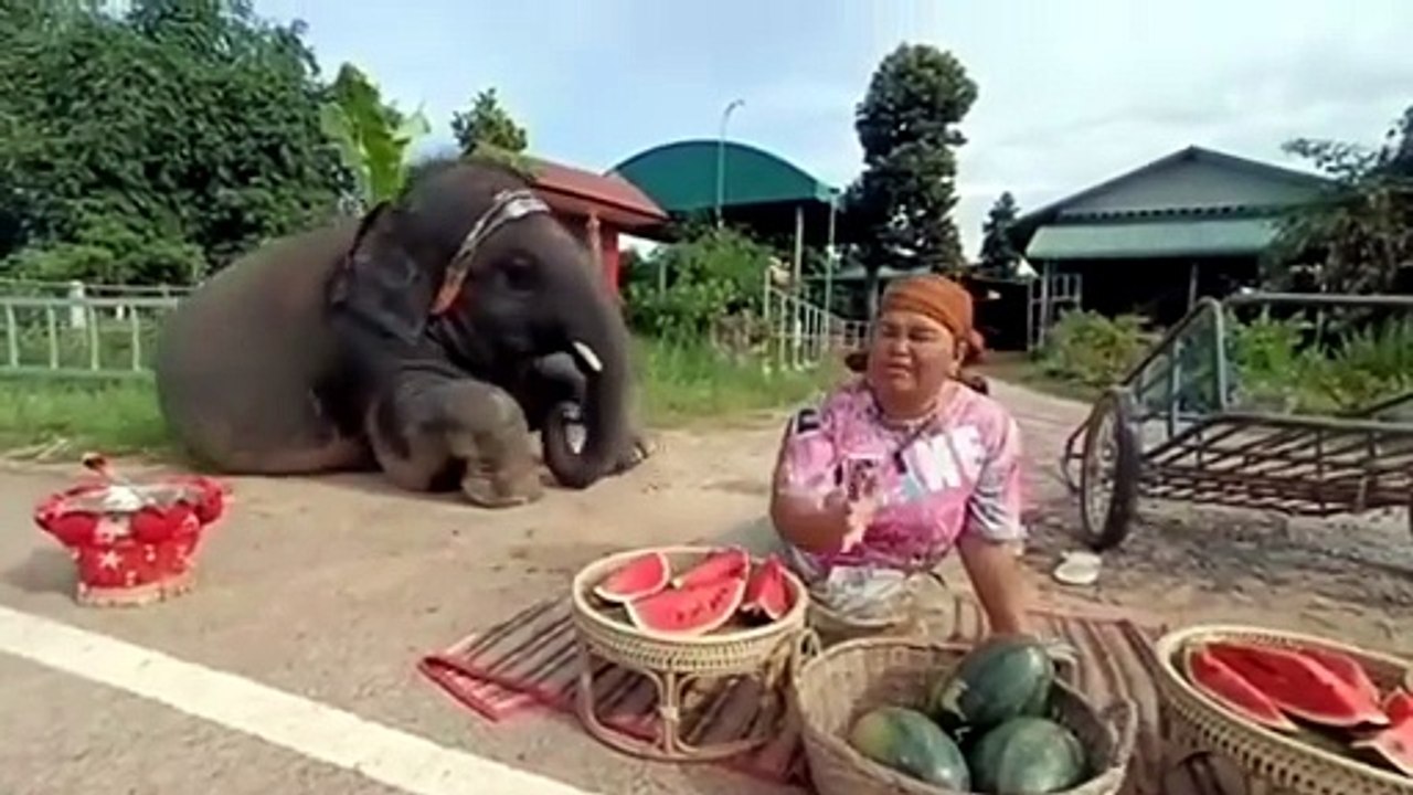 Viral video