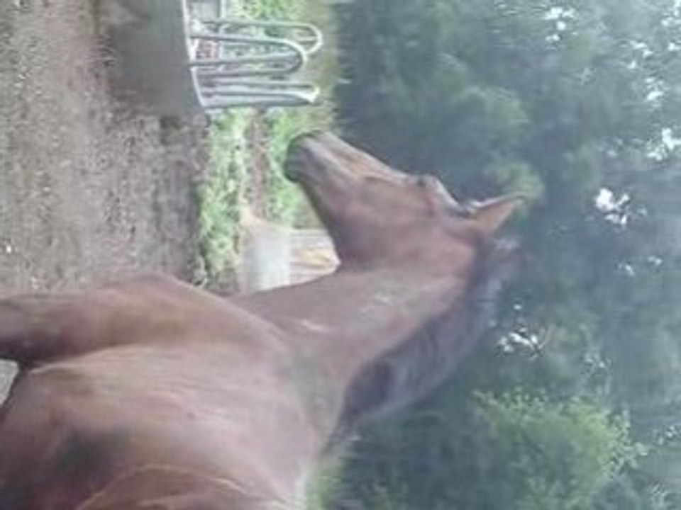 MOV06796