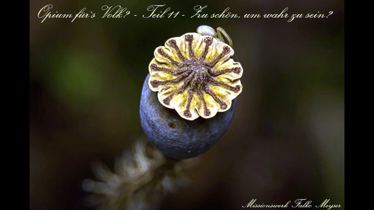 Opium für`s Volk? - Teil 11 - Zu schön, um wahr zu sein?