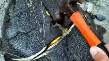 Hidden Gold Inside a Stone! 😱