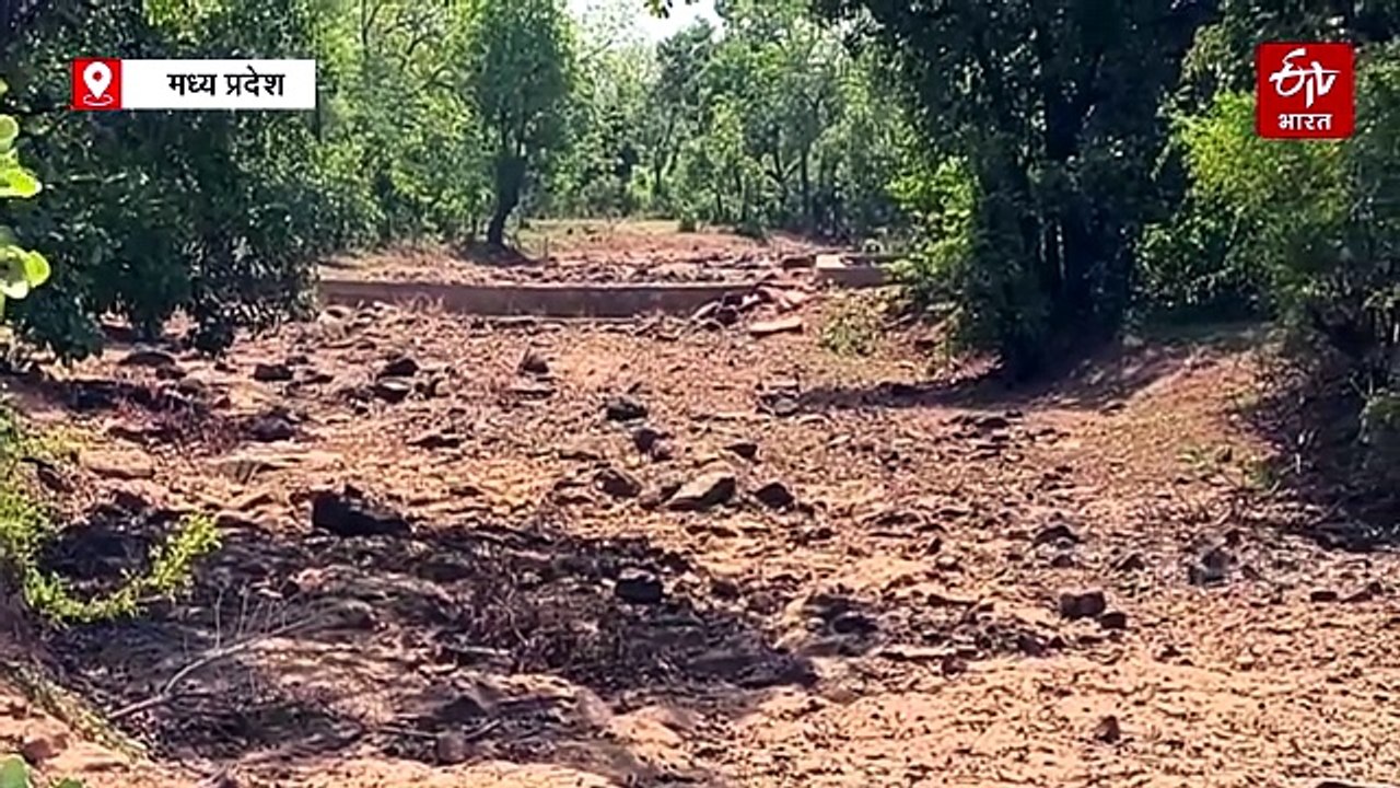 श्योपुर की चमत्कारी बावड़ी का महाभारत काल से कनेक्शन, हजारों साल से नहीं सूखा पानी