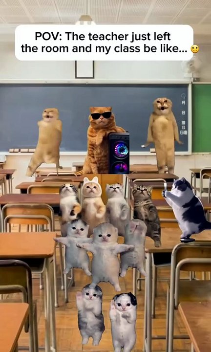 POV: When Teacher Leaves The Classroom 😹 dancing cat meme