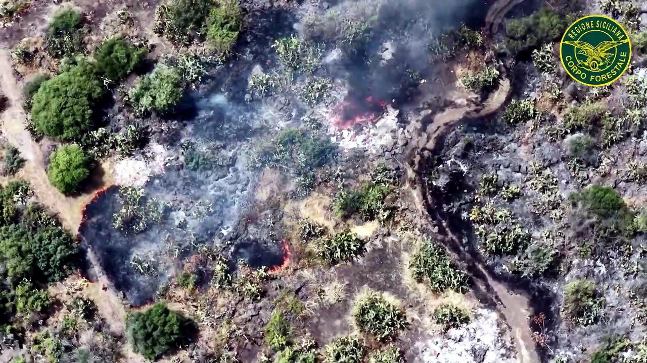 Incendi, brucia la provincia