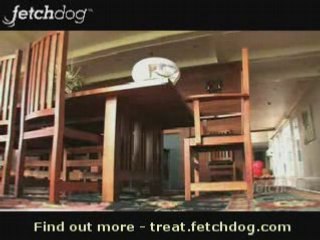 Automatic Toy & Treat Dispenser