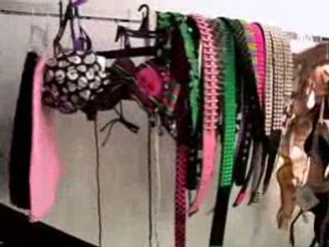 Intervista per Abbey Dawn