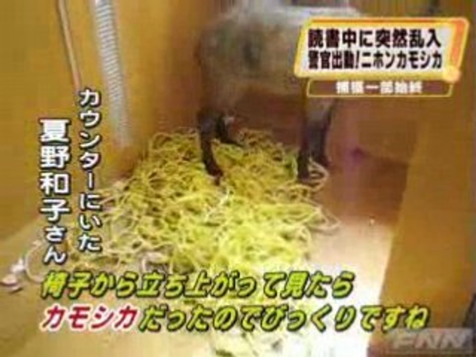 Tosho