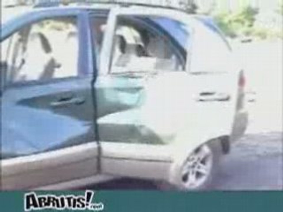 Attaque d'éléphants