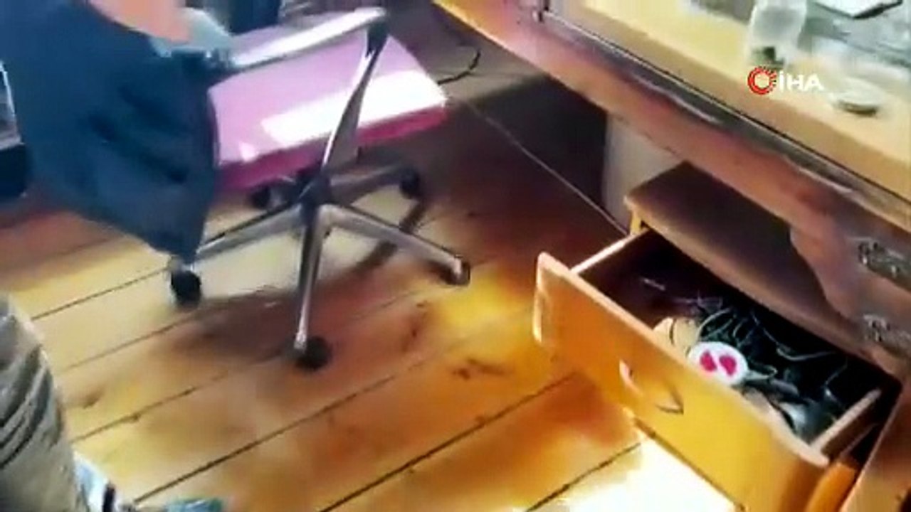 Gözaltına alınan ünlü yönetmen Ezel Akay evini kenevir tarlasına çevirmiş