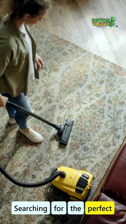 Gator Vacuum Top 3 Electrolux Vacuums for Every Home