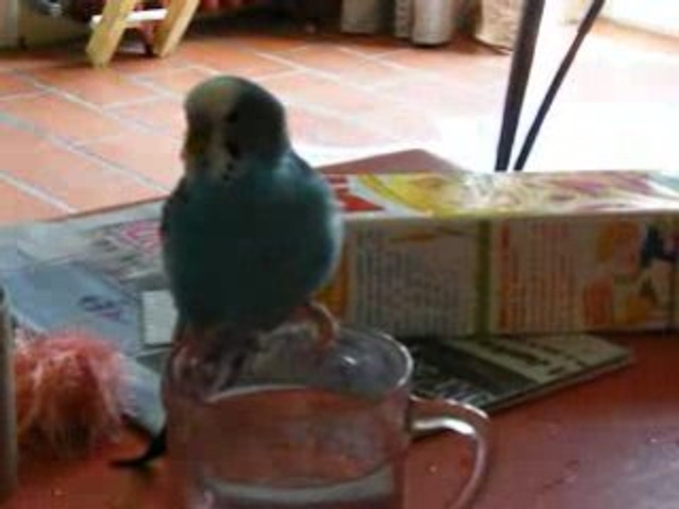 2008_07060017