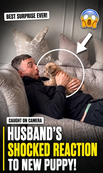 The husband can't hold back his smile when the puppy arrives four days early