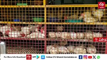 ಚಿಕನ್‌, ಮೊಟ್ಟೆ ದರ ಭಾರಿ ಏರಿಕೆ: ಚಿಲ್ಲರೆ ಮಾರುಕಟ್ಟೆಯಲ್ಲಿ ಕೆಜಿ ಮಾಂಸಕ್ಕೆ 300 ರೂ., ಒಂದು ಮೊಟ್ಟೆಗೀಗ 8 ರೂ.!; ಕಾರಣ ಏನು?