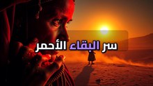الهيمبا: بشرة مثالية من غير نقطة ماية؟ ده اللي ميعرفوش دكاترة الجلدية!