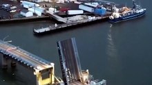 ¡Los barcos pesqueros regresan y el muelle se llena de vida! 😍⚓