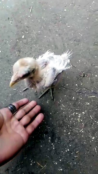 Funny videos 📸