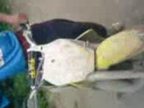 ptite roue,ptite chute