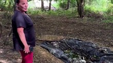 Au Val-de-la-Haye, Léonie à la rescousse des animaux de la forêt de Roumare