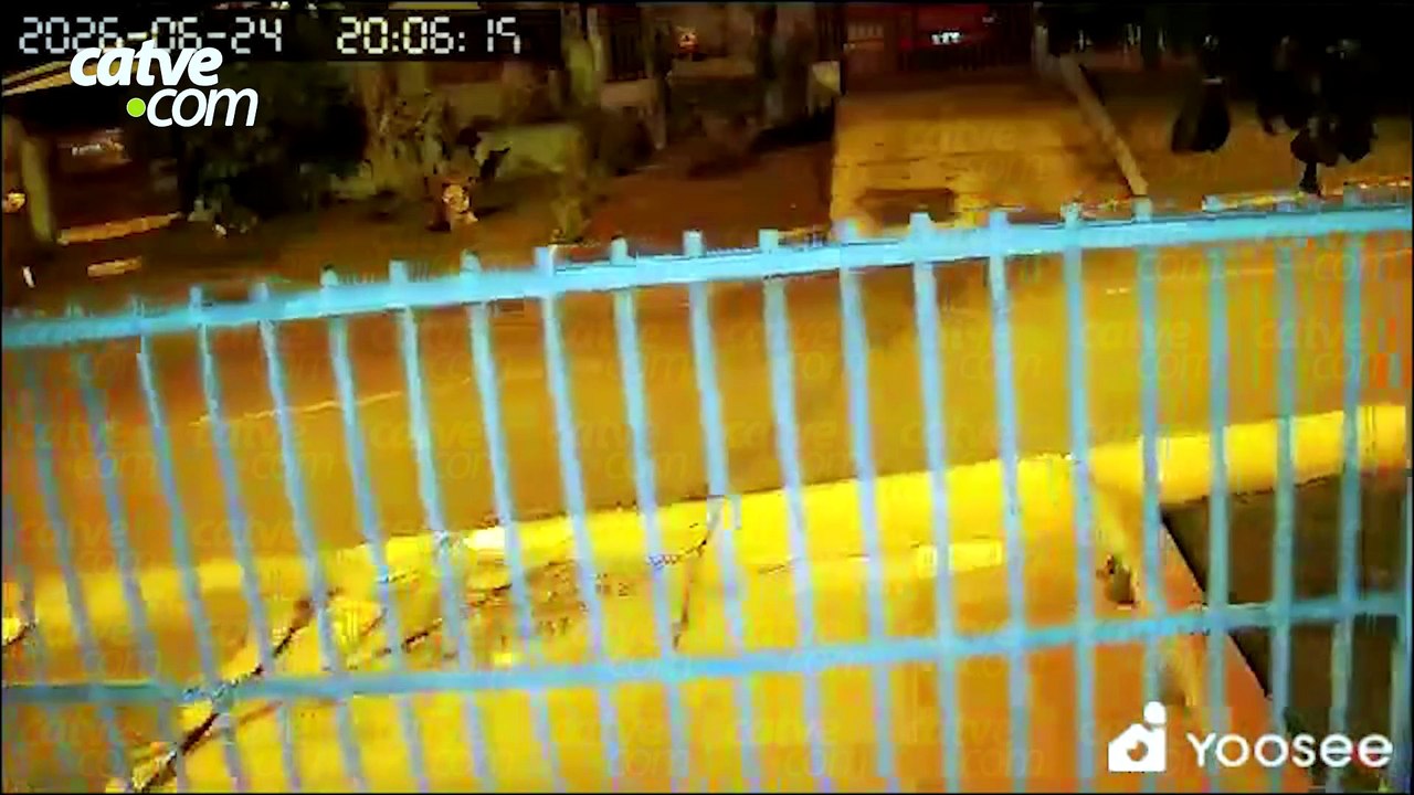 Vídeo registra tiro e chegada do socorro após morte de escrivã da Polícia Federal em Cascavel