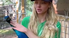 Amanda Seyfried partage une vidéo où elle s'amuse avec l'un de ses paons