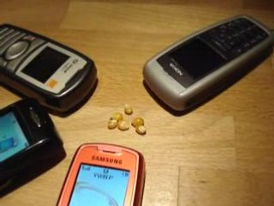 pop-corn et téléphone portable: la vérité !