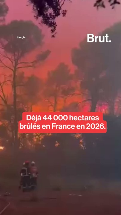 Déjà 44 000 hectares brûlés en France en 2026.