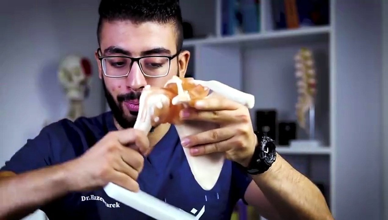 058 - احمى نفسك من اصابة الكتف الرخمة👊 ｜تشريح عضلات تثبيت الكتف💪｜ دكتور حازم طارق
