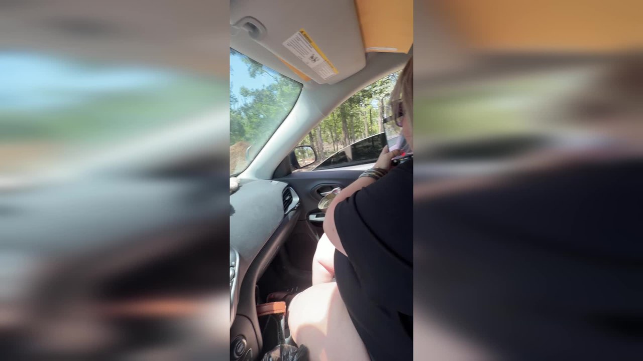 Bison Leaves Woman Screaming During Drive Through Safari Feeding