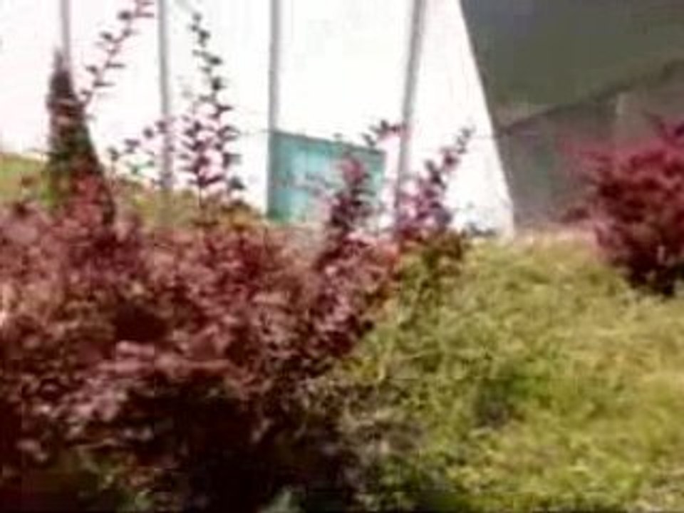 Les gros cons de granville