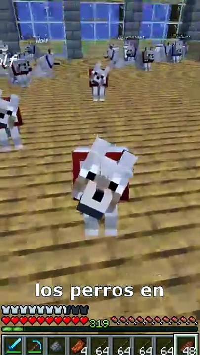 ¿como curar a un perro en minecraft y que comen?