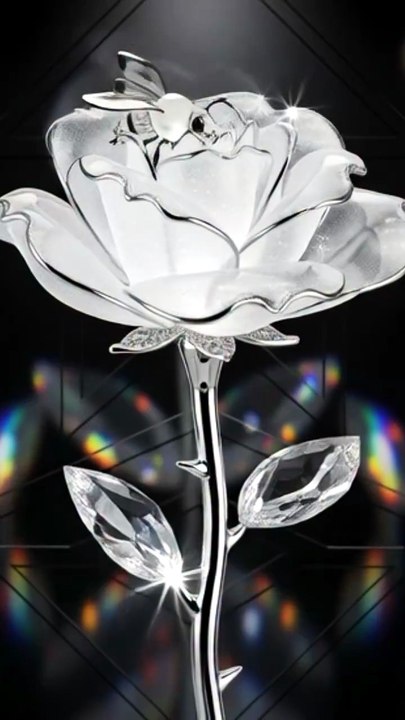 White Crystal Diamond Rose 🌹💎 5 Minutes AMOLED Black Screen 4K Luxury Wallpaper