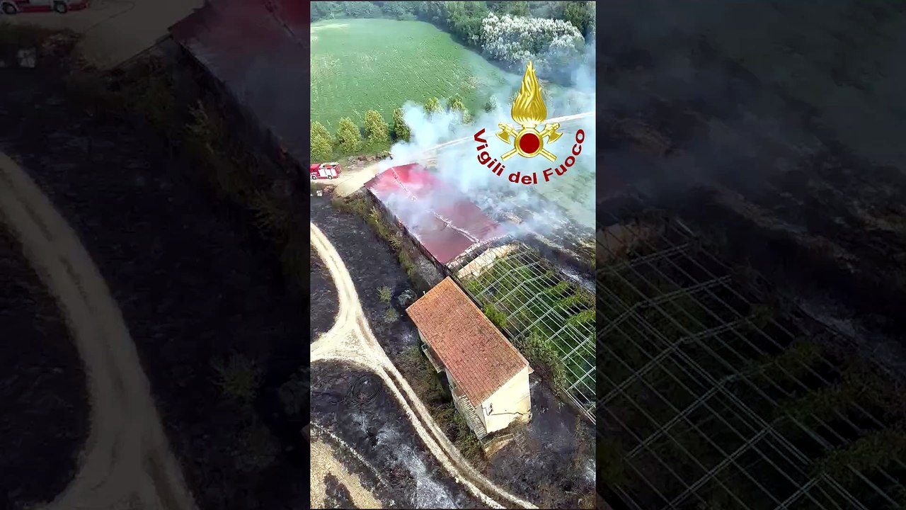 Certaldo, bruciano le colline: l'incendio visto dall'alto