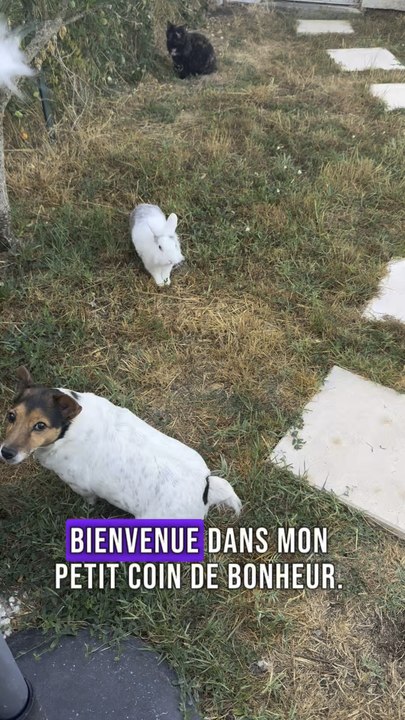 🐾 Bienvenue dans mon petit coin de bonheur