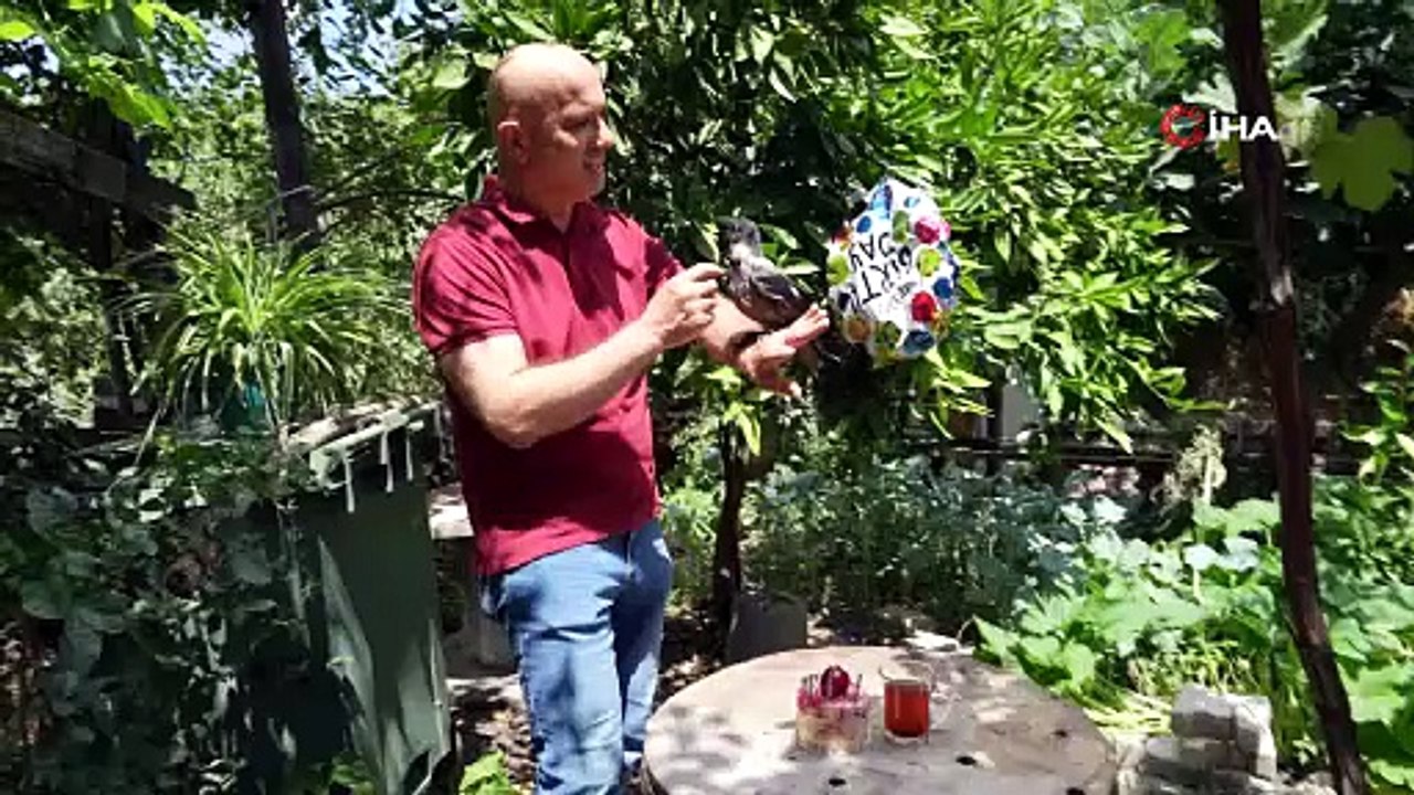 Rize çayı içen gurme kargaya özel doğum günü partisi