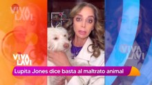 Famosas piden justicia para Rocky, perrito que fue arrastrado por camioneta