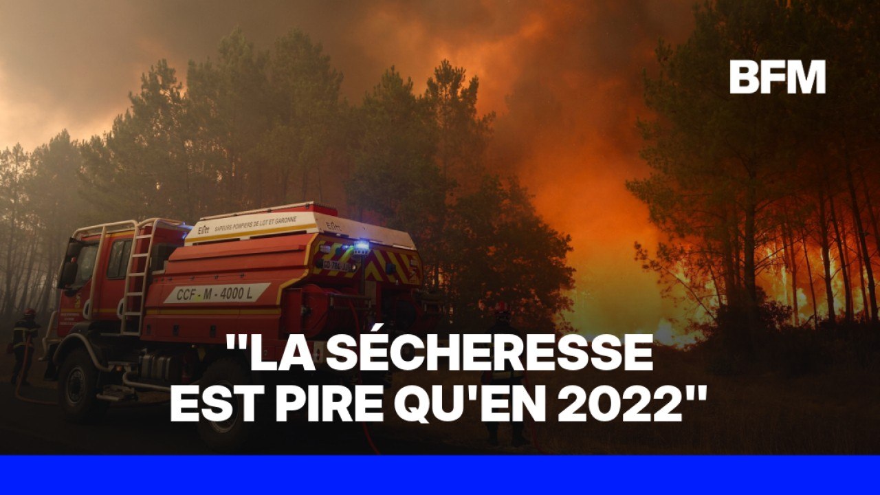 Incendie en Gironde: "3.700 hectares ont brûlé" et 800 sapeurs-pompiers sont mobilisés