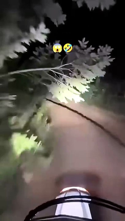 Animal reaction funny video