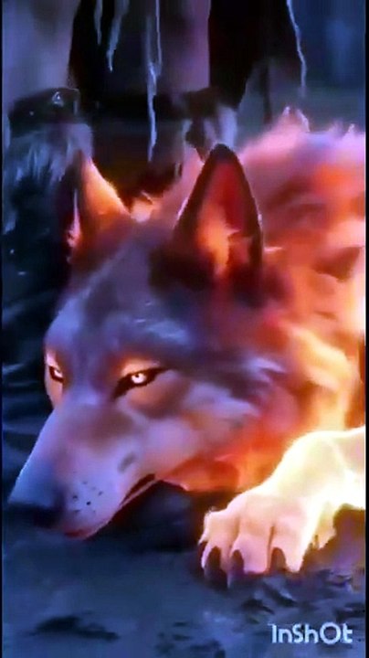 The Lycan Queen Will Rise - Hd Movie - FULL ✅ | Full Short Drama | English Sub 2026 [Full Movie] [Full Movie]