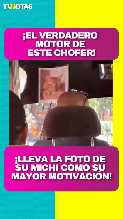 ¡La verdadera motivación de este chofer tiene cuatro patas!