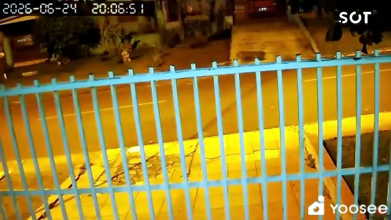Câmeras de segurança registram momentos antes e depois da morte da escrivã da PF em Cascavel; marido é réu por feminicídio