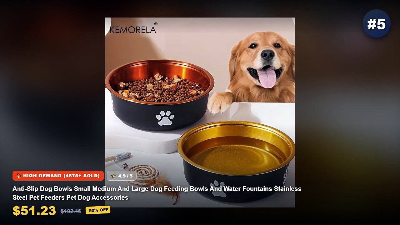 Best Water Fountain Accessories on AliExpress | Review - Anti Slip Dog Bowls Small Medium And Large Dog Feeding Bowls An...