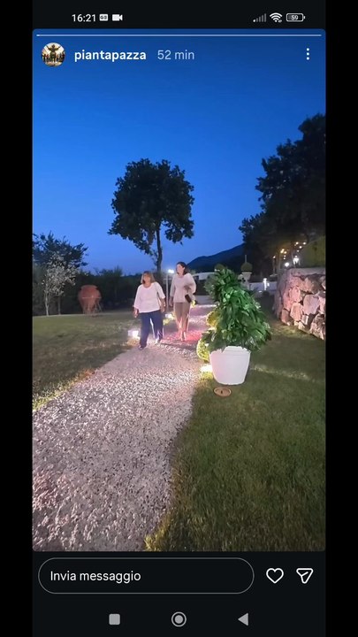 Pianta pazza story lo scherzo