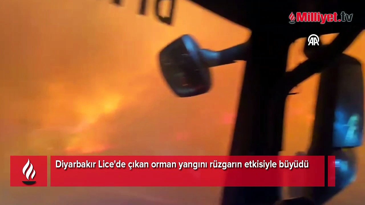 Diyarbakır'da orman yangını! Alevler yerleşim bölgesine ilerliyor