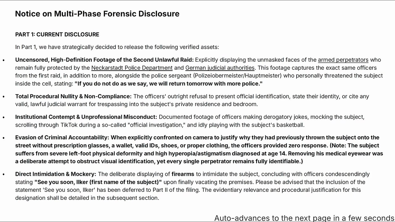 BEHIND THE RECHTSSTAAT MASK: Systemic Racism & Civil Rights Violations in German Judiciary, Police & Healthcare
