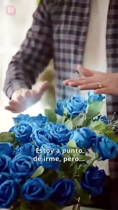 Dailymotion [Full Movie]