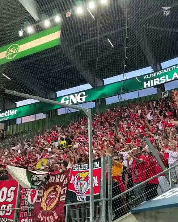 St. Gallen-Benfica adeptos