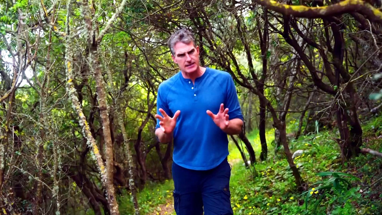 The Odyssey with Dan Snow (Ch5, 2026)