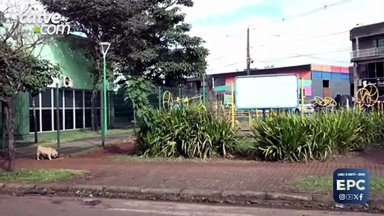 Prefeitura abre licitação de mais de R$ 11 milhões para limpeza e manutenção de espaços públicos