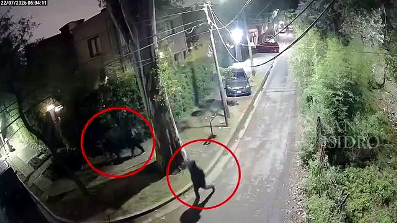 Así detuvieron a los menores tras robar una casa en San Isidro